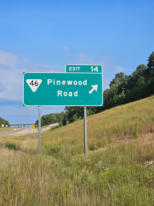 5 Fall Drives Around Nashville With Your Dog