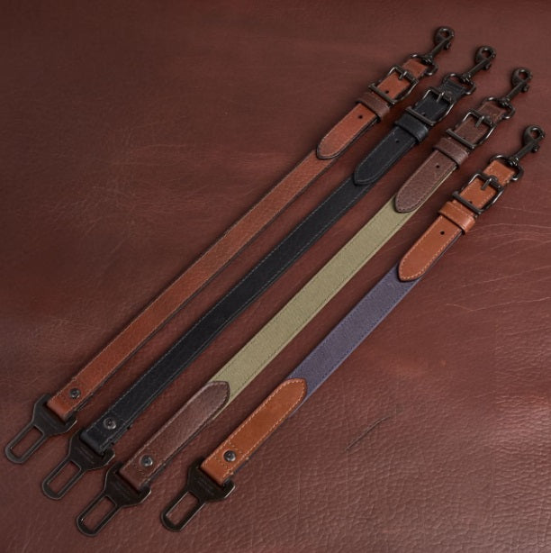 Leather Dog Seatbelt – Brown Bison-Green Canvas-Brass Finish
