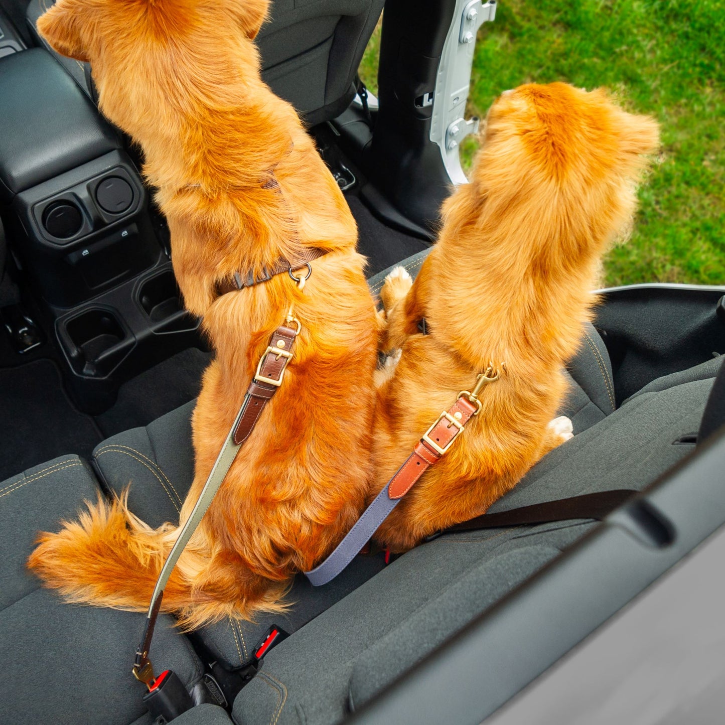 Leather Dog Seatbelt – Brown Bison-Green Canvas-Gunmetal Finish