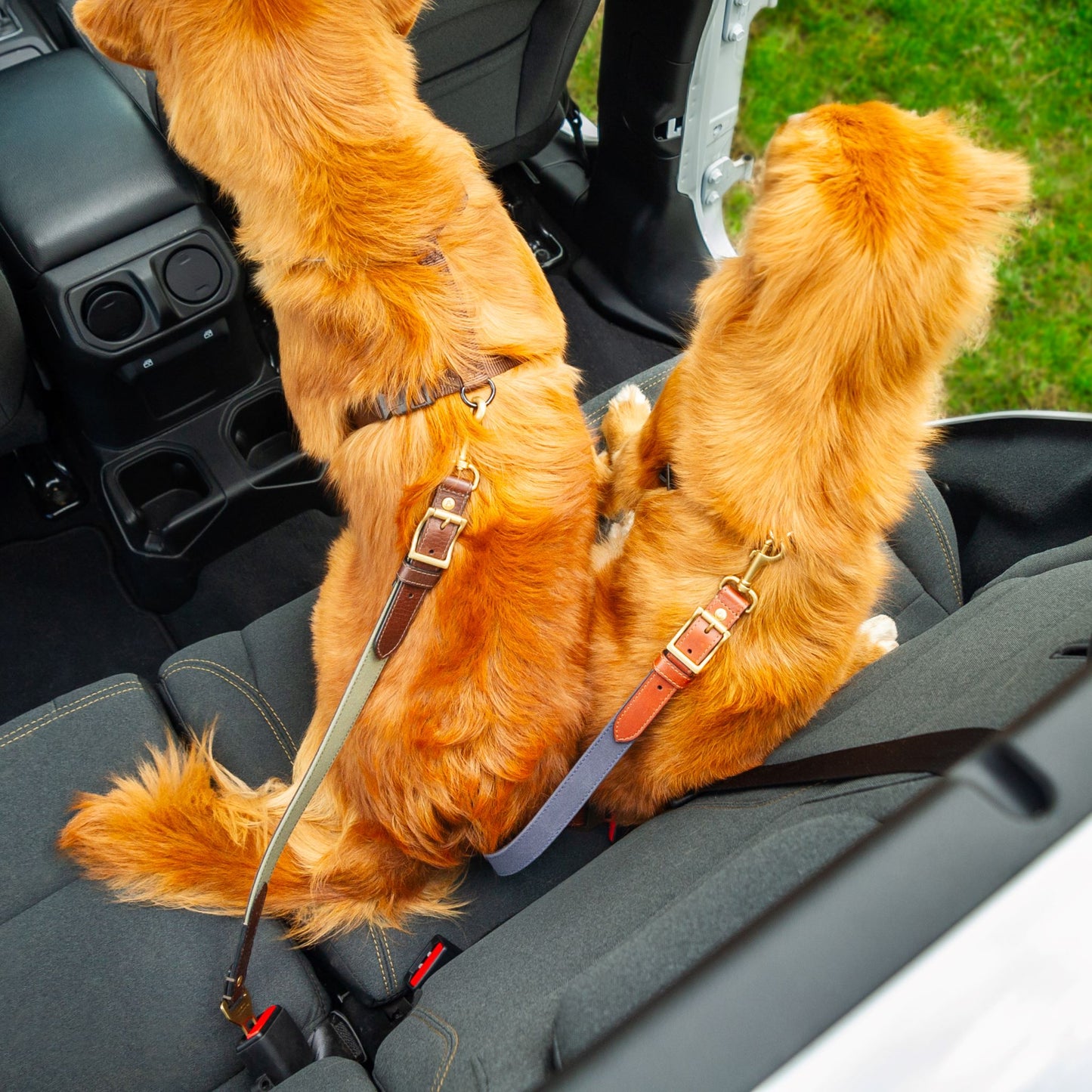 Leather Dog Seatbelt – Brown Bison-Green Canvas-Brass Finish