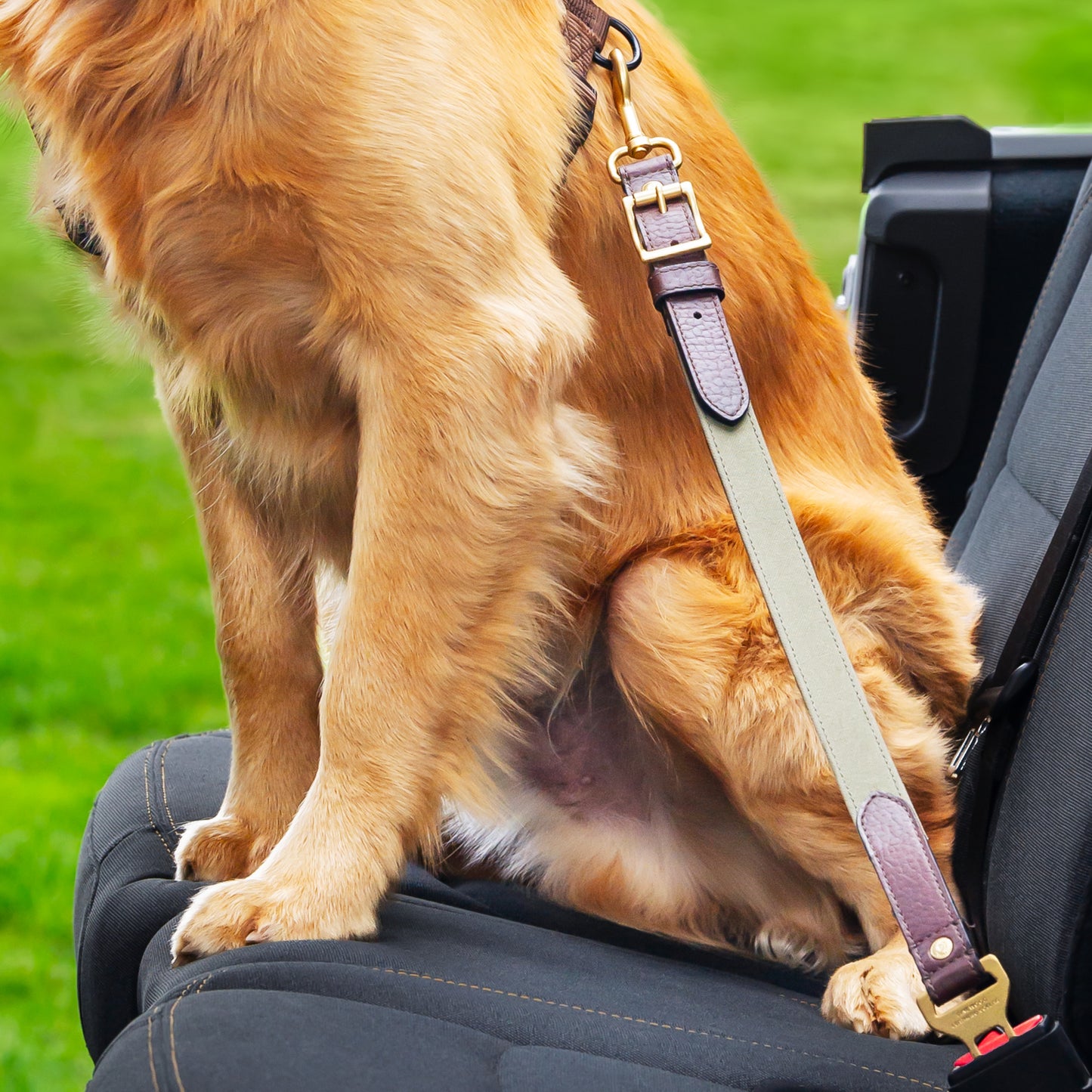 Leather Dog Seatbelt – Brown Bison-Green Canvas-Brass Finish