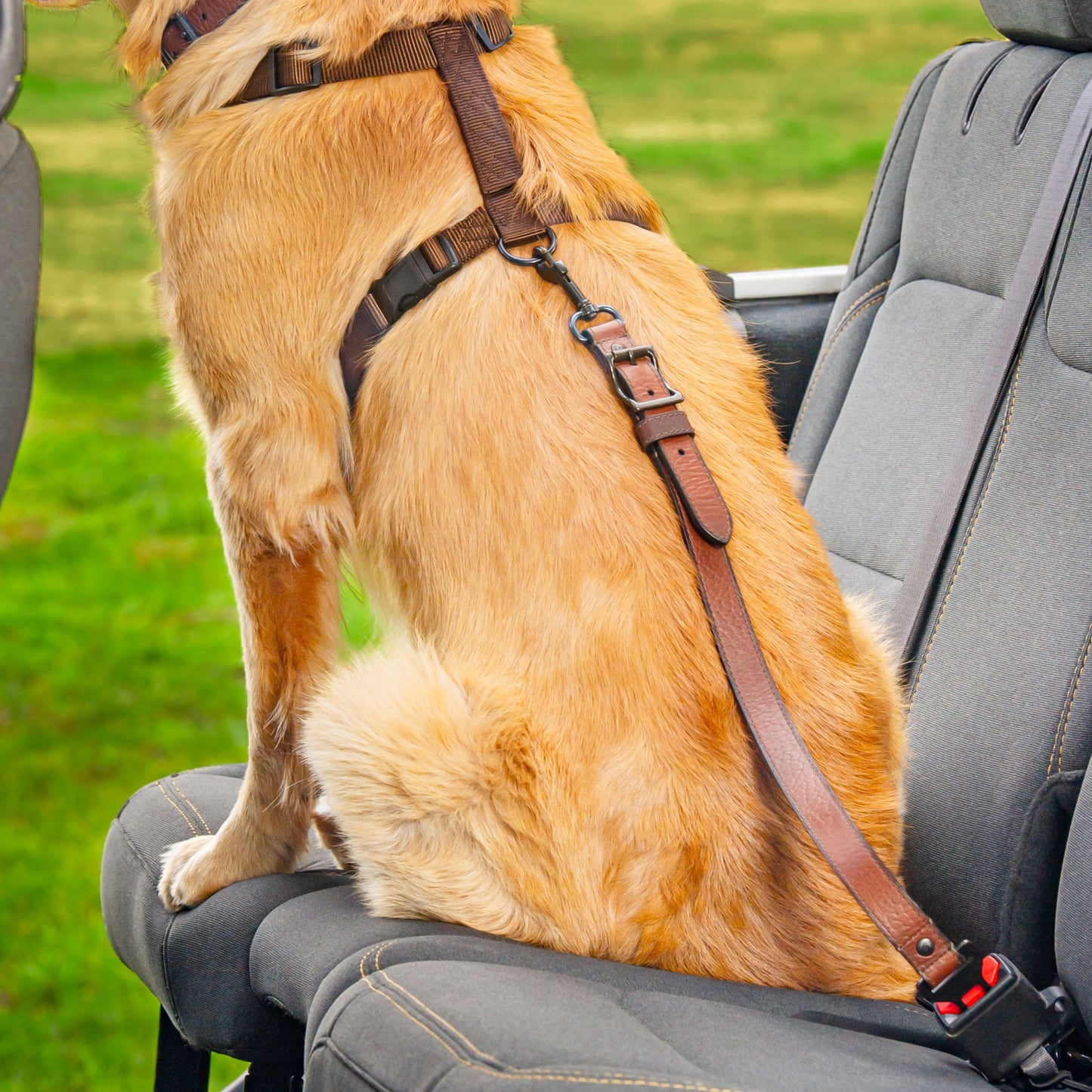 Leather Dog Seatbelt – Brown Bison-Green Canvas-Gunmetal Finish