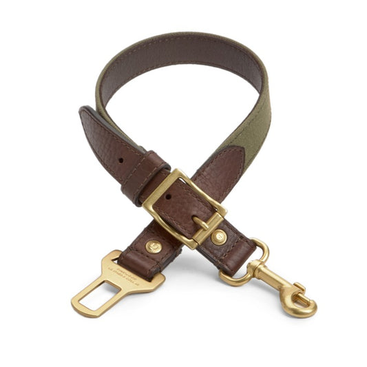 Bison leather dog seatbelt tether with Green Canvas and Gold hardware on a dog. Pinewood Leather & Collar Product Shot