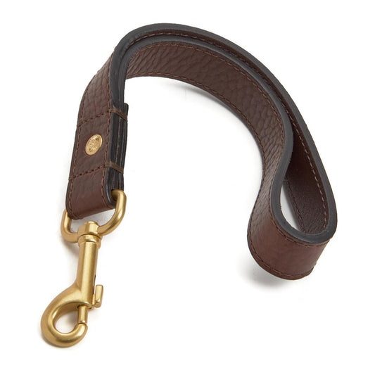 Short Leash and Loop Seatbelt Tether Pinewood Leather- Bison with Gold Finish