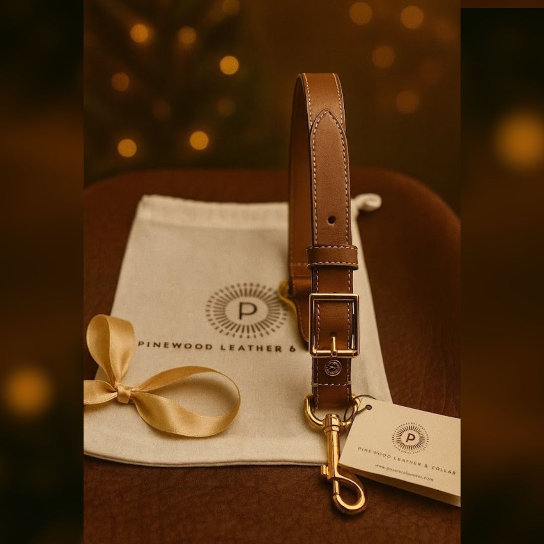 Leather Dog Seatbelt – Tan-Gold Finish