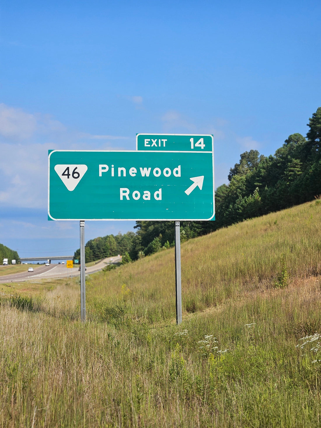 5 Fall Drives Around Nashville With Your Dog