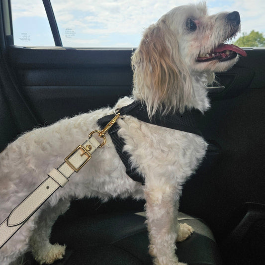 Leather Dog Seatbelt – White-Gold Finish
