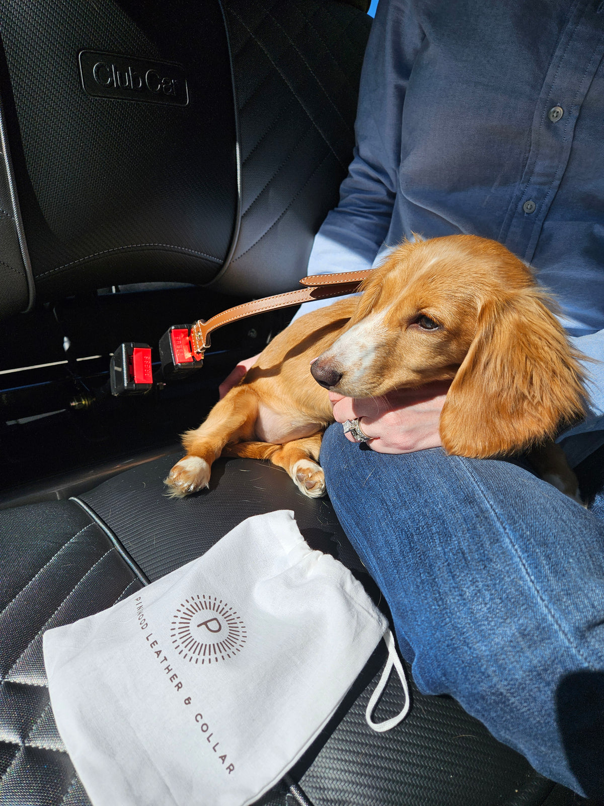 Leather Dog Seatbelt – Tan-Gold Finish