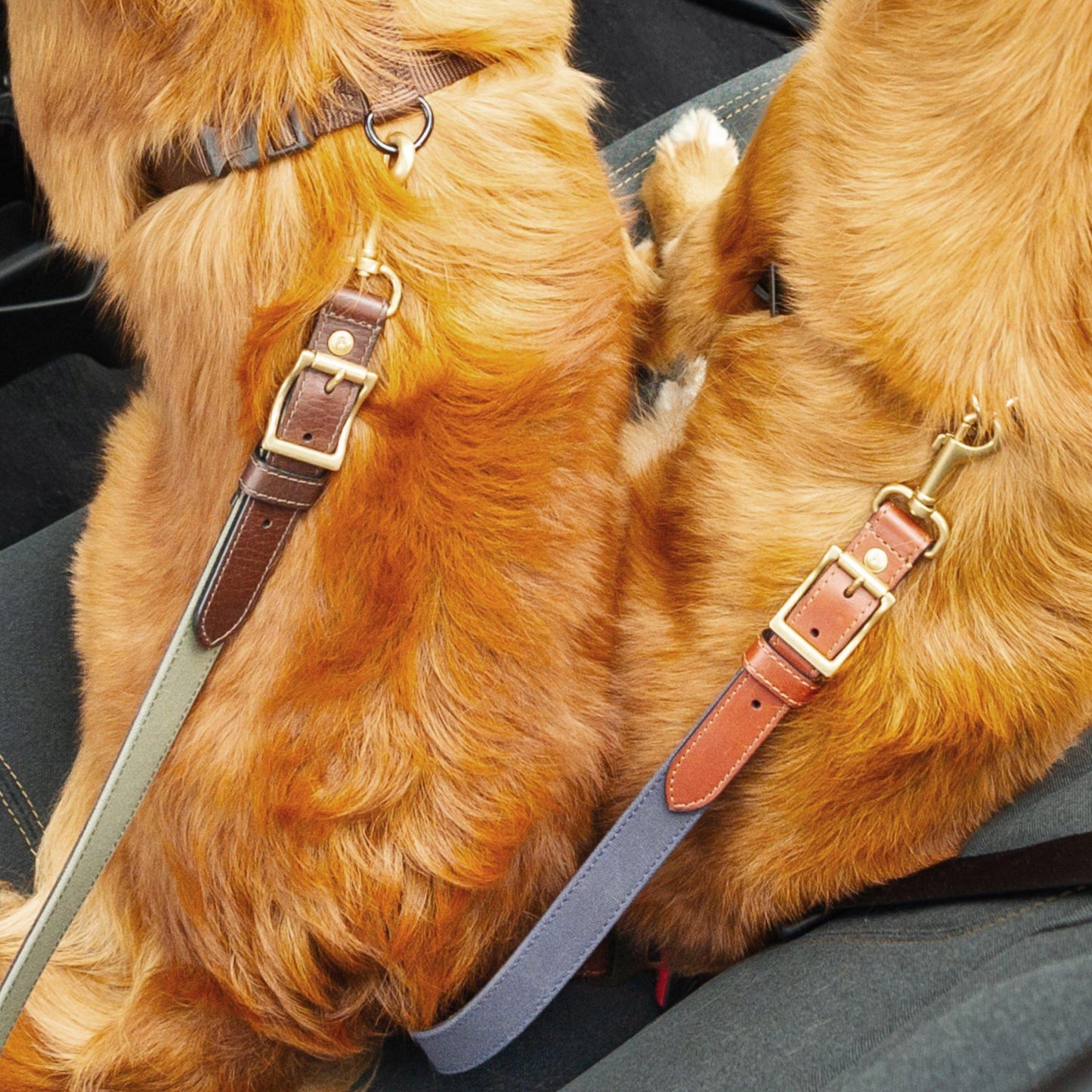 Leather Dog Seatbelt – Brown Leather / Navy Canvas / Brass Finish