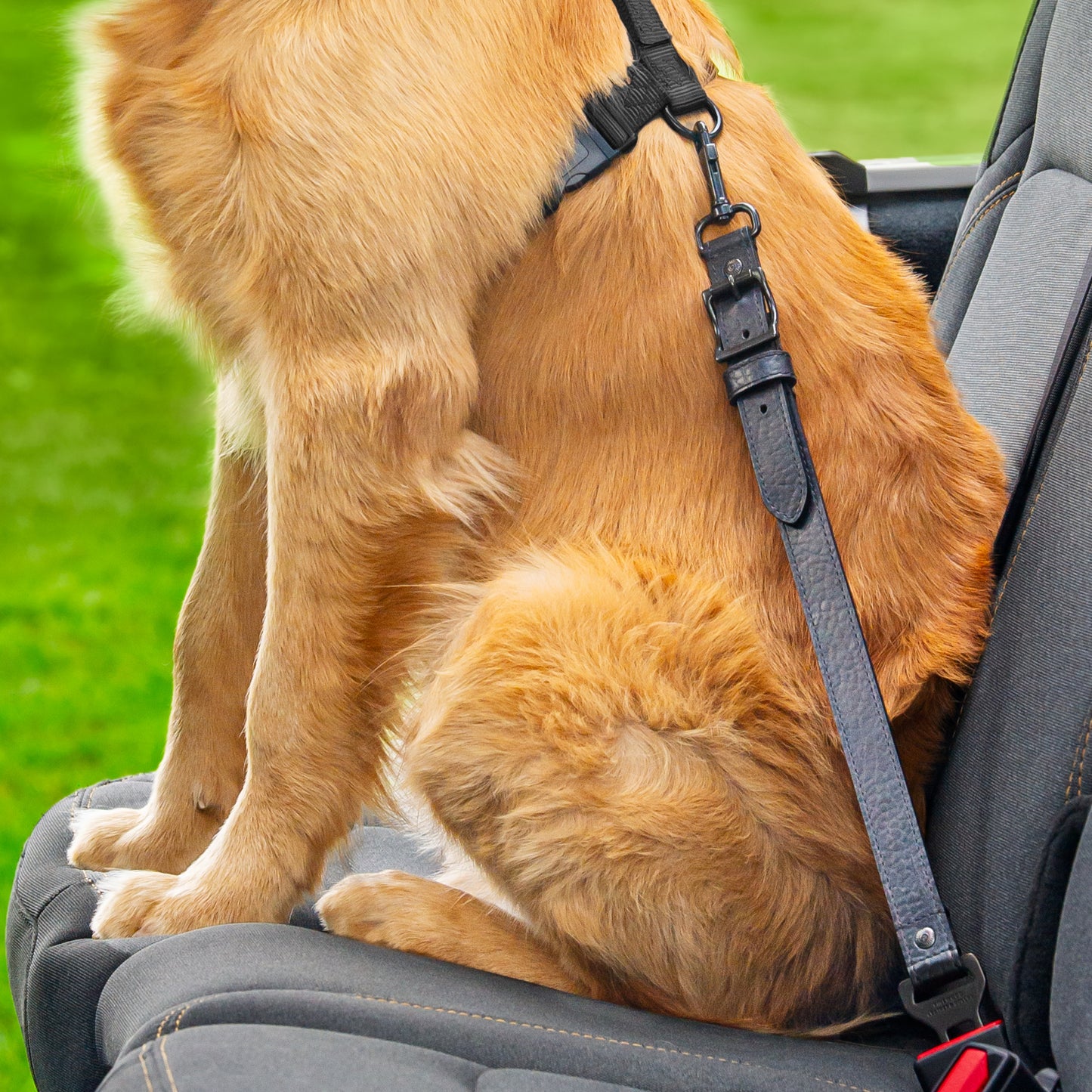 Leather Dog Seatbelt – Black Bison-Gunmetal Finish